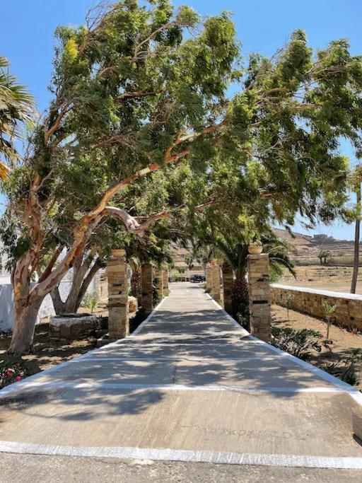 Θἔρως Apartment Tinos Bagian luar foto